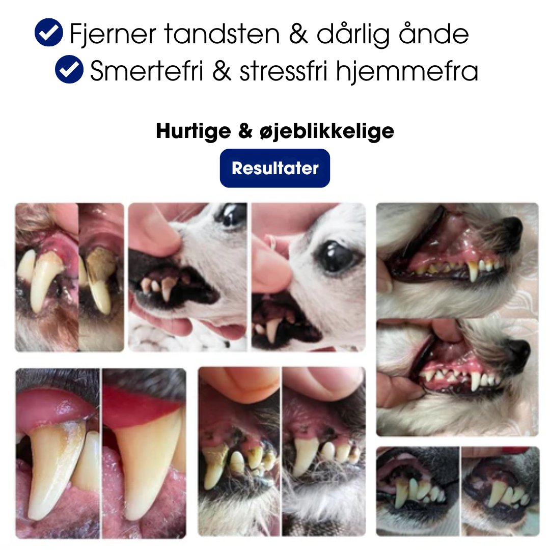 PetDental Pro™ - Forbedr din pelsede vens tandhygiejne derhjemme