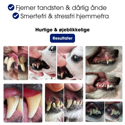 PetDental Pro™ - Forbedr din pelsede vens tandhygiejne derhjemme