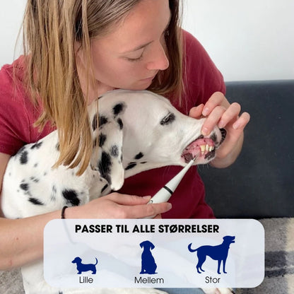 PetDental Pro™ - Forbedr din pelsede vens tandhygiejne derhjemme