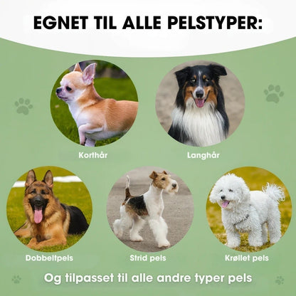 ShedGuard™ – Hundebørste der hurtigt fjerner løse hår