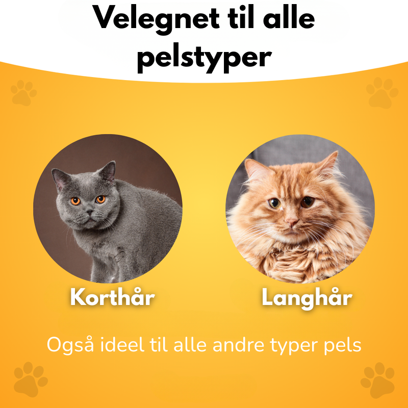 SheddiCat Brush™ – Den nemmeste måde at pleje din kats pels på